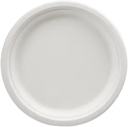 Amazon Basics Compostable Plates